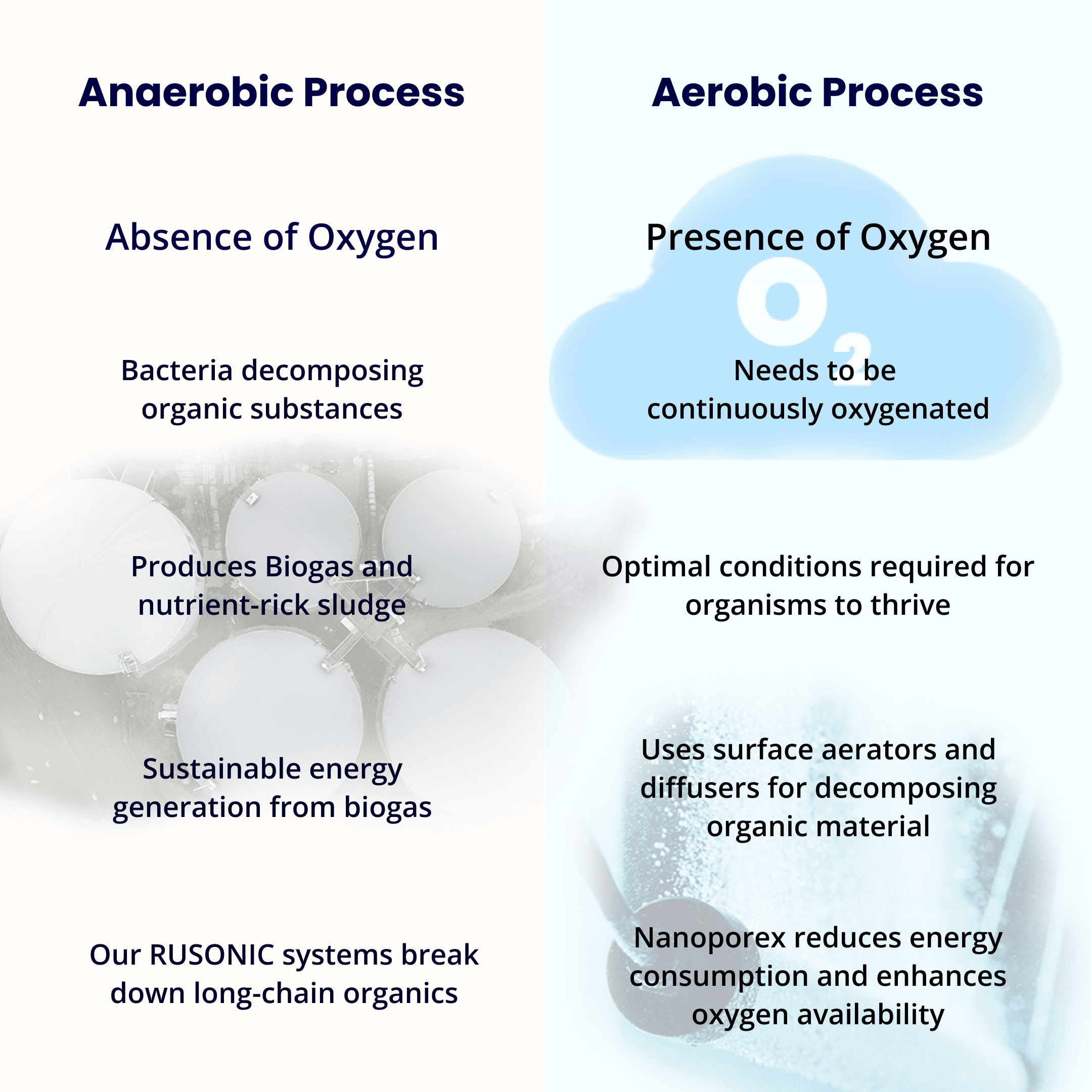 aerobic and anaerobic